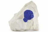 Vibrant Blue Azurite Suns on Siltstone - Australia #361199-1